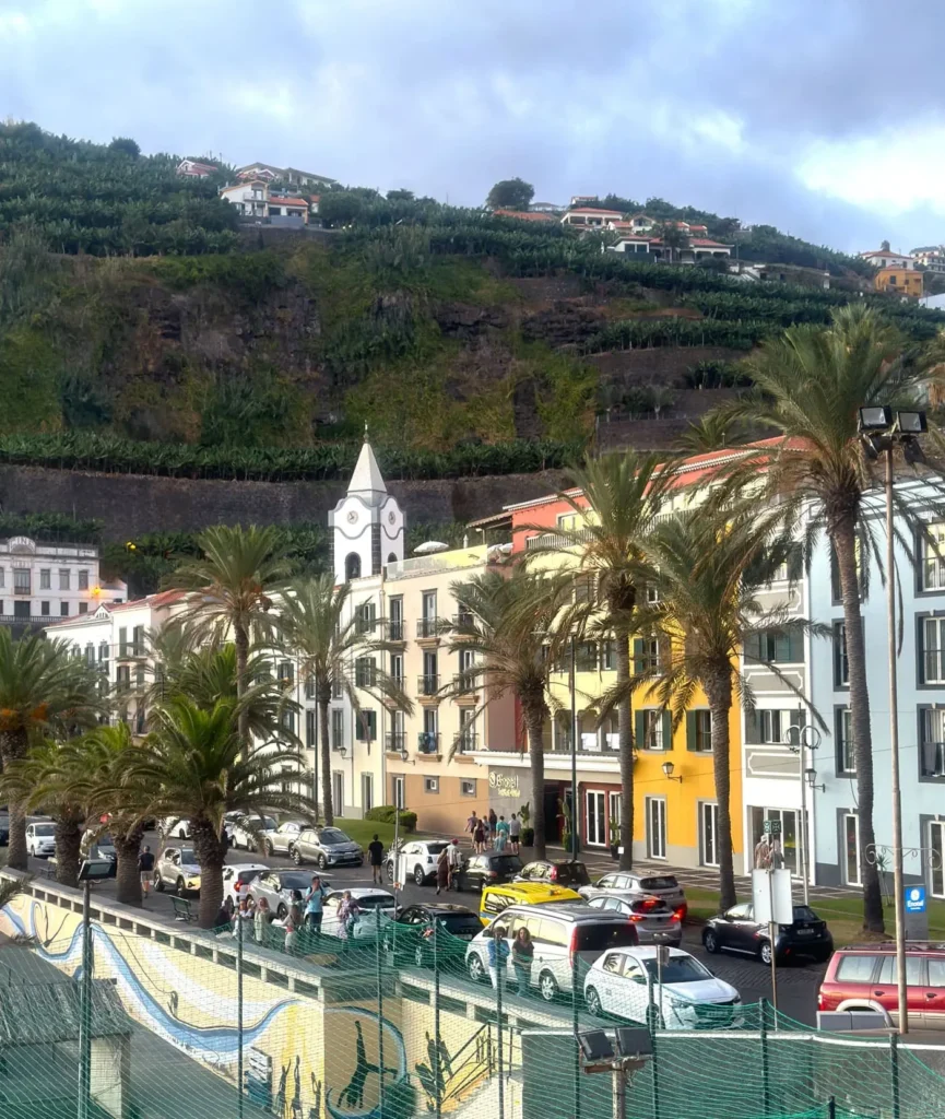 Madeira by Anda Lupsan